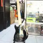bass guitar durability