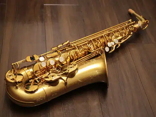 Alto saxophone for beginners Kenya