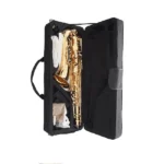 Alto saxophone brands Nairobi