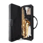 Affordable alto saxophone