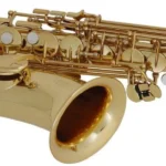 Alto saxophone for orchestra