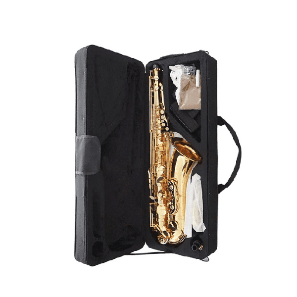 Rent an alto saxophone in Nairobi