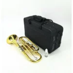 wind instrument