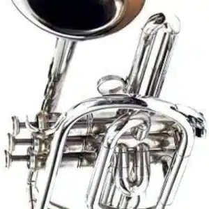Cornet brass instrument Nairobi professional players