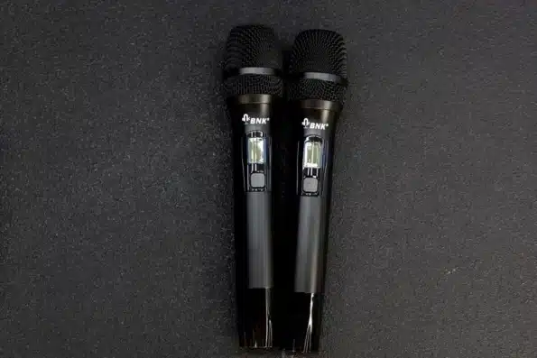 Bnk IS 20 Wireless Mic