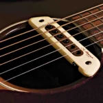 acoustic guitar pickup Kenya