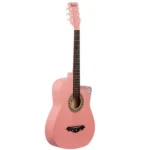 IRIN 38 Inch 6 String Acoustic Guitar