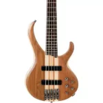 Ibanez 5 string bass