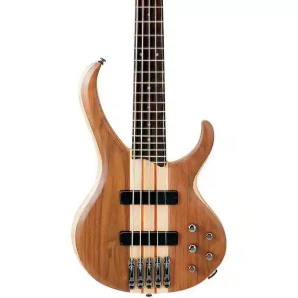Ibanez 5 string bass