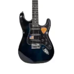 6 string bass guitar