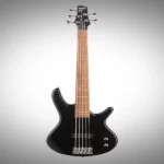 Ibanez SDGR 5 String Bass Guitar