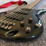 SDGR 5 String Bass Guitar