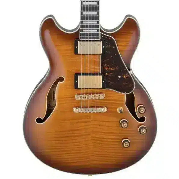 Ibanez 40 semi