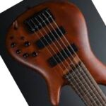Ibanez bass guitar finish