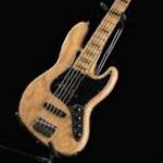 Fender American Professional II 5 String Bass