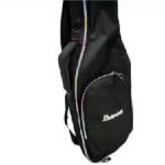 Ibanez padded acoustic guitar bag