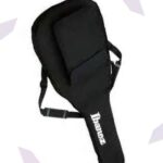 Ibanez bag for storage.