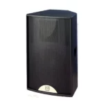 Martin F12 audio speaker