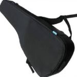 Ibanez gig bag