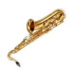 Tenor saxophone accessories for sale