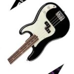 Fender Bass Guitar for Beginners