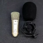 Gold-sputtered diaphragm mic