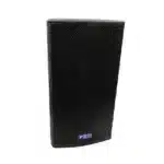 MITUS 15 Speaker