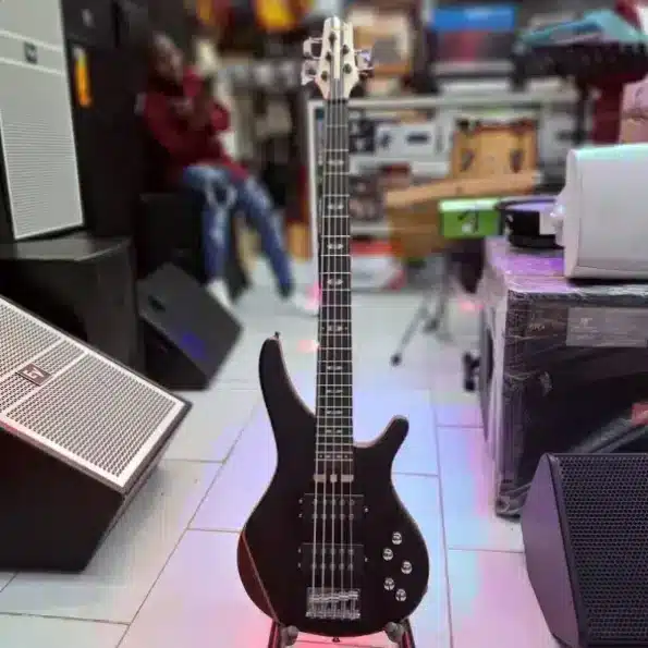 Ibanez Active 5 Strings