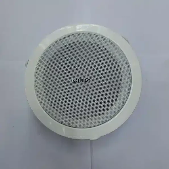 Philips 6-Inch