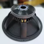 bass naked speaker