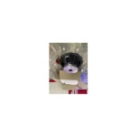 PD18 bass speaker for music Nairobi
