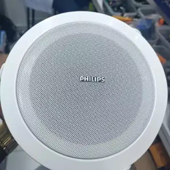 Phillips 8 inch