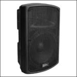 SOUNDKING 10-Inch