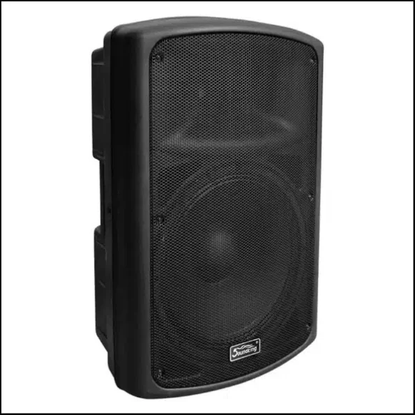 SOUNDKING 10-Inch
