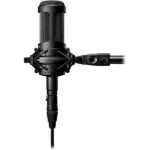 condenser microphone