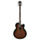 Ibanez semi acoustic