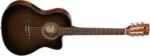 Acoustic guitar 1