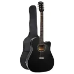 Fender semi-acoustic guitar Nairobi