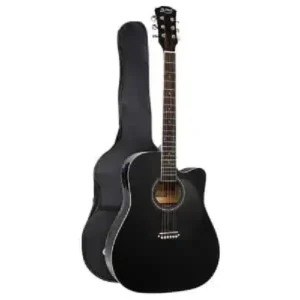Fender semi-acoustic Nairobi