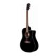 Fender semi acoustic