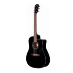 semi acoustic
