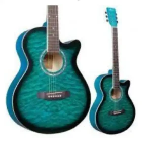 Fender semi-acoustic price Kenya