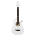 IRIN 38 Inch 6 String Acoustic Guitar with Guitar Bag