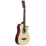 6 String Acoustic