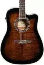 semi acoustic