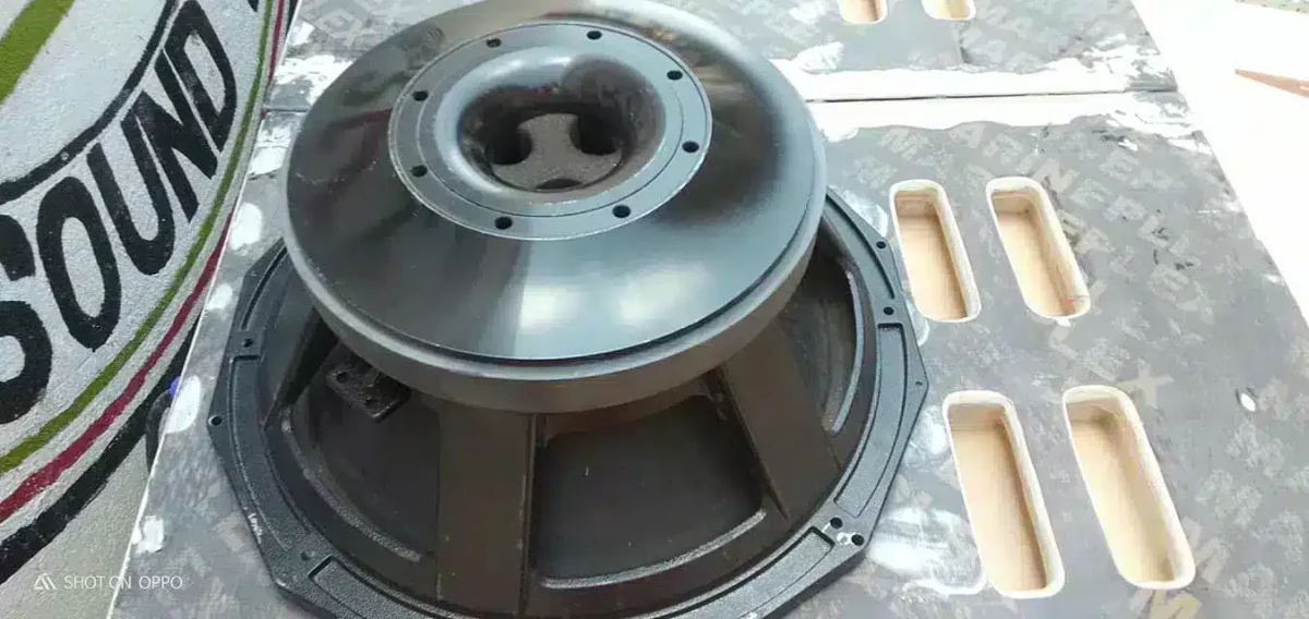 PD speakers