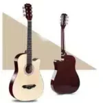 Acoustic Guitar