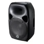 Titan 15 Speaker