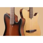 Ibanez