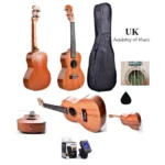 Professional ukulele shop Kenya